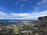 Ganztägige Inselrundfahrt auf Faial:  Capelinhos Vulkan