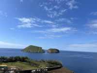 Ganztägige Inselrundfahrt Terceira: 2 Ziegen