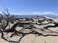 Death valley