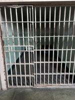 San Francisco - Alcatraz Gefängnis (51)