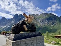 Tag 4 - Troll
