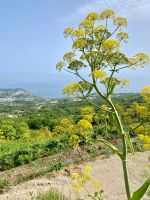 Impressionen der Wanderung