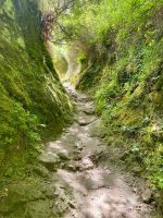 die Wanderung zum Monte Ipomeo