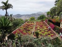 Funchal - Botanischer Garten