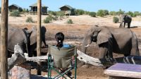 Botswana - Mittagspause mit Elefanten