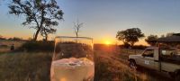 Botswana - Sundowner im Busch