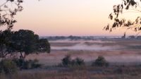 Namibia - Namushasha River Lodge - Morgengrauen