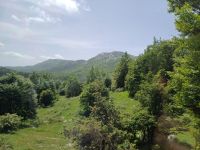 Lovcen Nationalpark