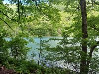 Wanderung im Biogradska Nationalpark