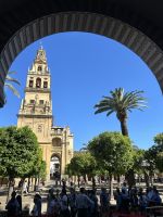 Cordoba - Blick auf den Glockenturm