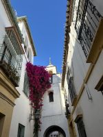 Cordoba Impressionen