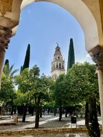 Cordoba - Patio de los Naranjos