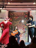 Flamenco im Tablao El Arenal