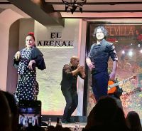 Flamenco im Tablao El Arenal