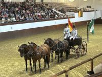 auch Kutsche fahren ist nicht einfach!