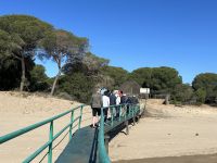 Ankunft im Nationalpark Doñana