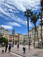Plaza de la constitución 