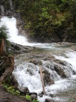 Der rauschende Schwarzwasserbach