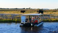 Botswana - Bootsfahrt auf dem Chobe