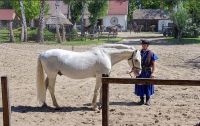10.05.24 Budapest - Puszta