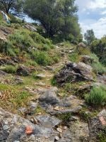 Wanderweg Tavignano-Schlucht