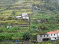 Levada - Wanderung - die steile, kleine Treppe hinauf zum Haus