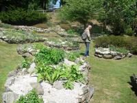 Alpin Garten am Mottarone