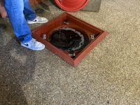 Cassemichère - Sitzen auf dem Wein