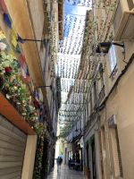 Avignon
