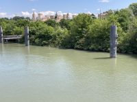 Avignon 