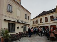 Rundgang in Ybbs