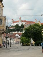 Blick zur Pressburg
