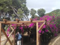 DSCN8958.JPG    Eingang Palast von Knossos