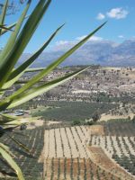 DSCN9040.JPG   Messara Ebene