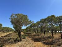 ...von Lagos nach Burgau (4)