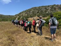 Wanderung Raposeira bis Cabo de sao Vicente (6)