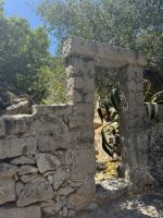 ...im Monchique-Gebirge (1)