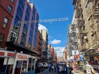 Little Italy 