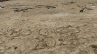 71. Bako Nationalpark