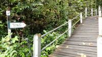 208. Mulu Nationalpark - Wind Cave