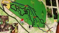 278. Mt. Kinabalu Nationalpark - Subtropischer Regenwald - Botanischer Garten