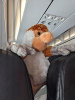 316. Unser stetiger Begleiter