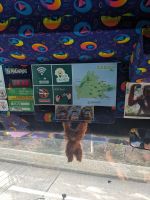 324. Unser Bus in Sandakan & Sukau