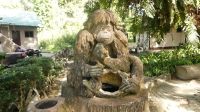 326. Sepilok Orang Utan Sanctuary
