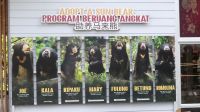 347. Sun Bear Auffangstation