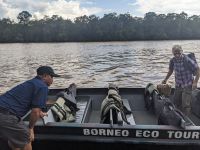 358. Ankunft in Sukau - Übersetzung zur Lodge