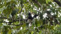 461.  La Rasa Ria Reserve