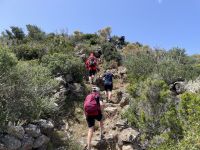 Panarea - Aufstieg zum Punta del Corvo (421 Meter)