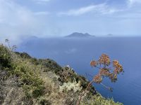 Panarea - Aufstieg zum Punta del Corvo (421 Meter)