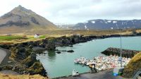 Island Rundreise: Arnarstapi.